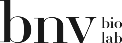 logo bnv