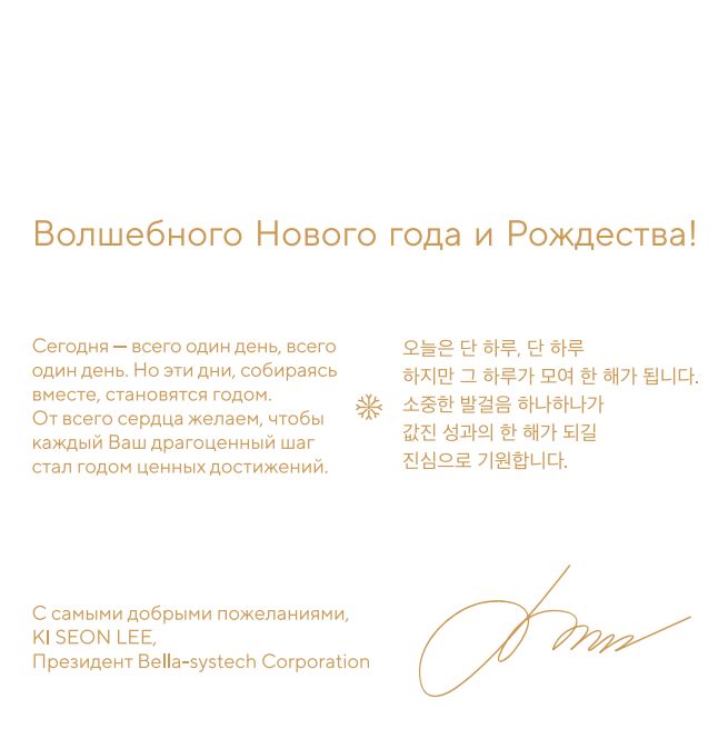 Волшебного Нового года и Рождества